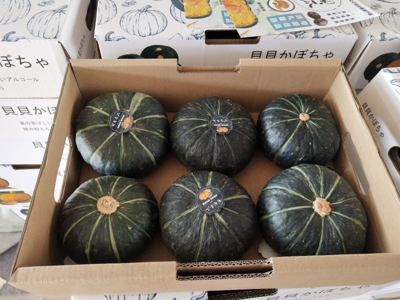 糯面南瓜糖度高适合电商超市团购