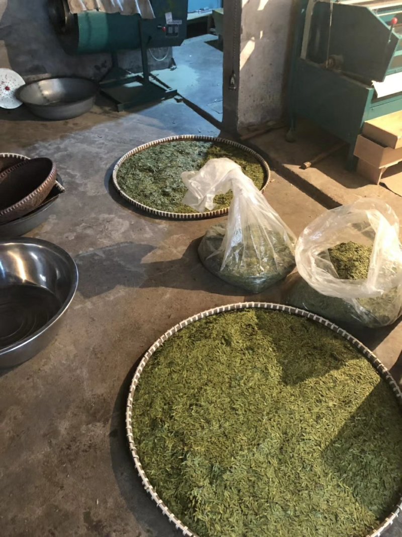 龙井2020明前茶特级包邮产地批发