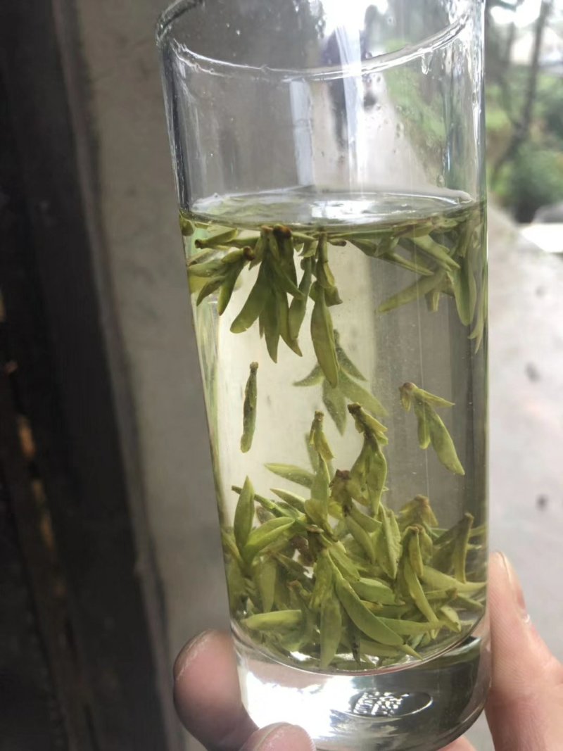 龙井2020明前茶特级包邮产地批发