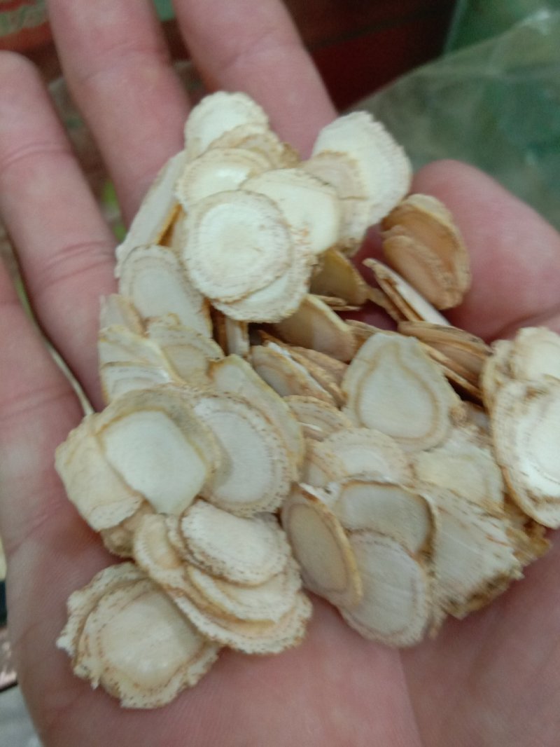 西洋参，常年批发供应各种规格西洋参药食同源中药材