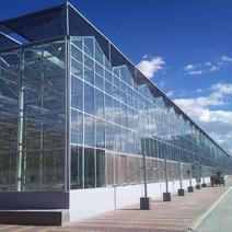 纹络式连栋温室，玻璃大棚，玻璃温室，智能温室，智能大棚！