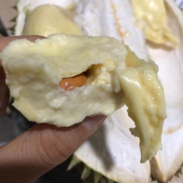 榴莲