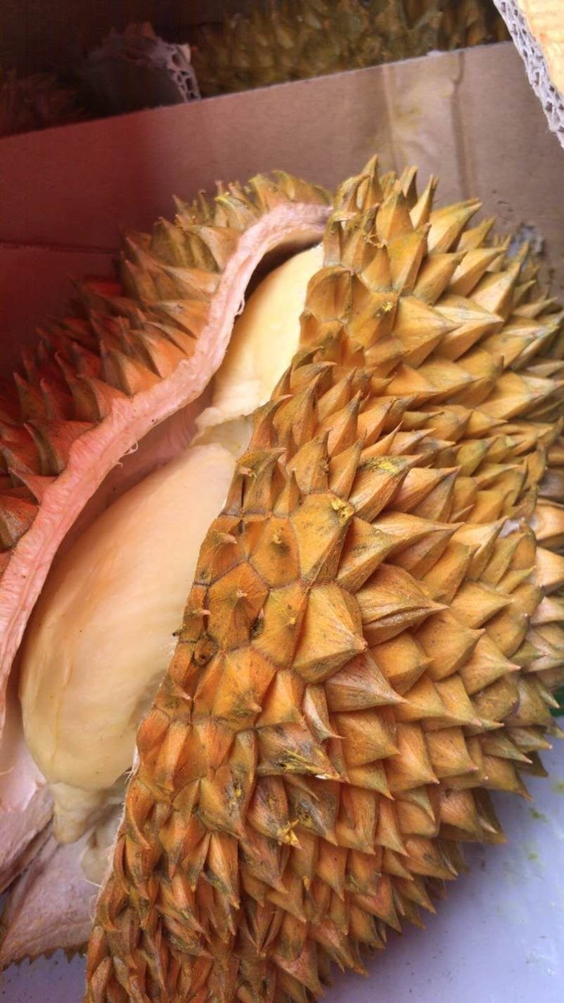 榴莲