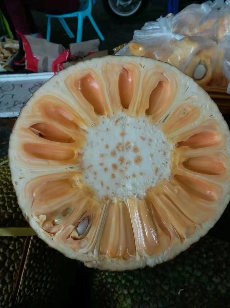 红肉菠萝蜜一件代发电商微商对接24小时发现摘现发