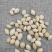 白果山东白果带壳无硫货新货