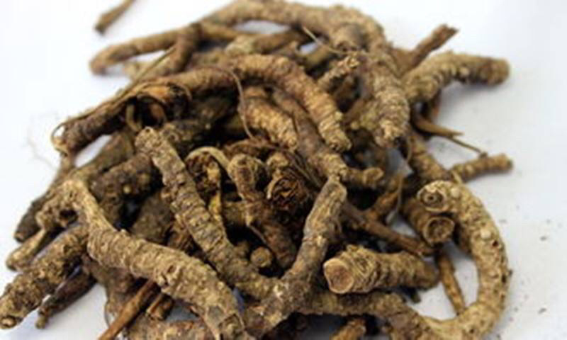 胡黄连胡黄连农家干货自种农家初选农副产品