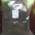 缬草缬草缬草根臭草穿心排草毛缬草农家初选