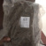 缬草缬草缬草根臭草穿心排草毛缬草农家初选