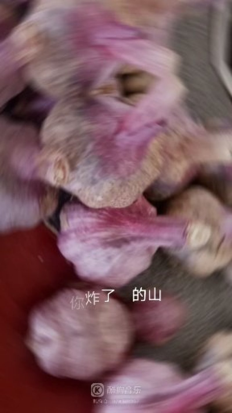 到了弥渡不想媳妇！到了红岩不想回来！优良气侯环境高原红蒜