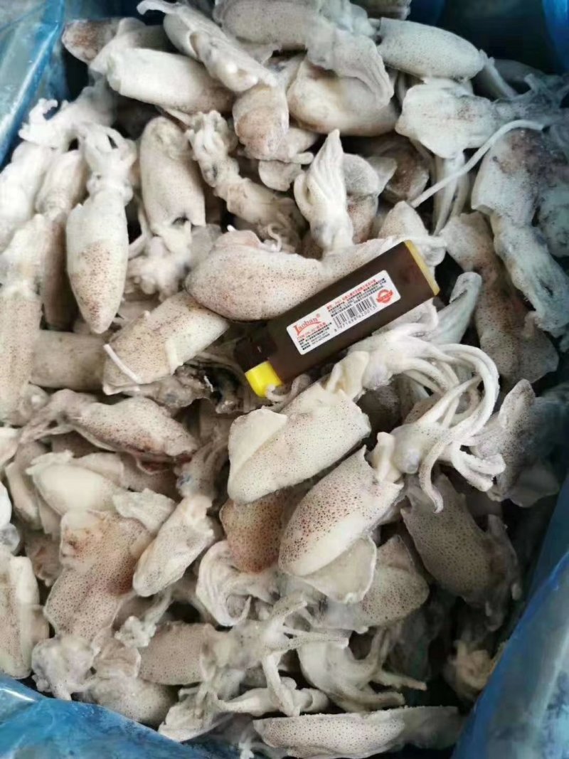 海兔（精品单冻。大板船冻都有，