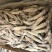 海兔（精品单冻。大板船冻都有，