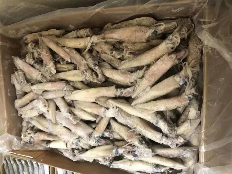 海兔（精品单冻。大板船冻都有，