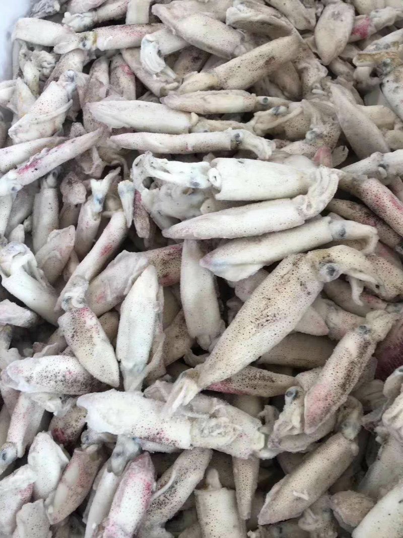 海兔（精品单冻。大板船冻都有，