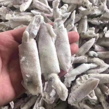海兔（精品单冻。大板船冻都有，