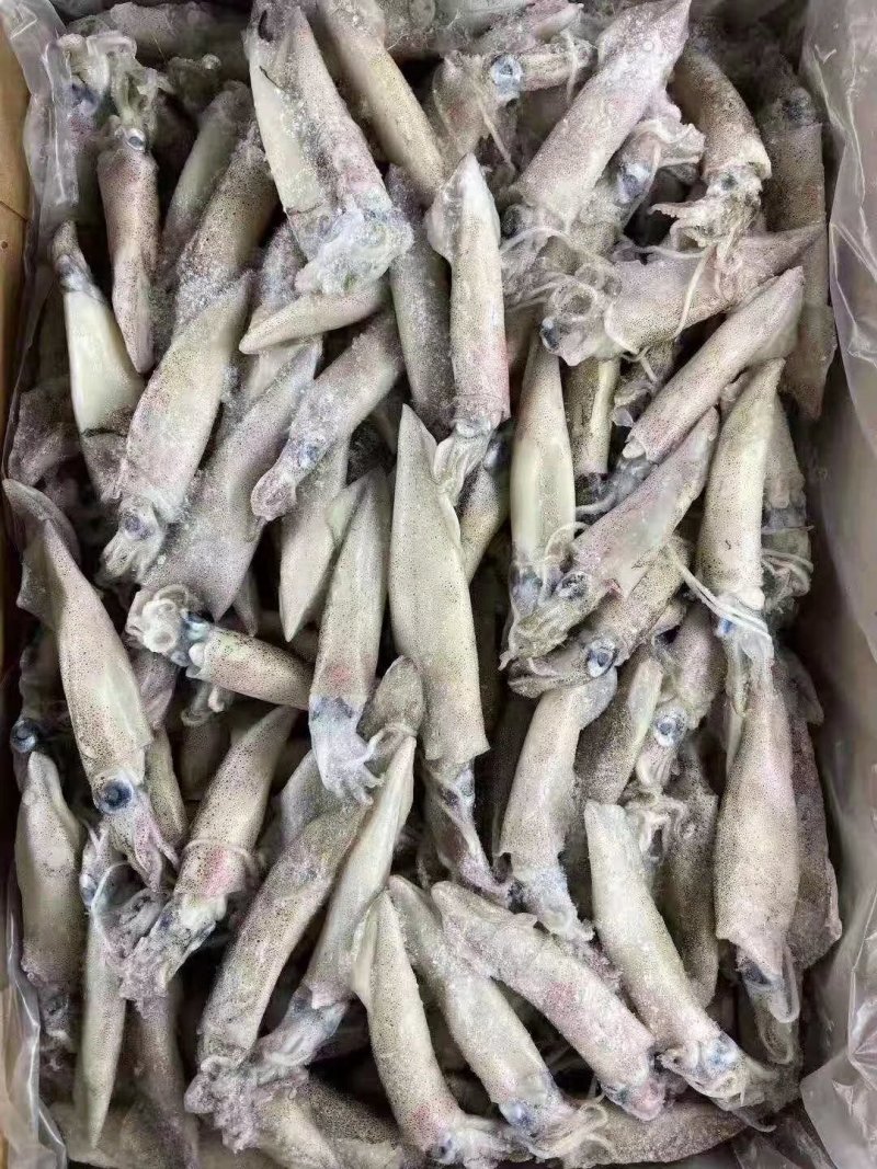 海兔（精品单冻。大板船冻都有，