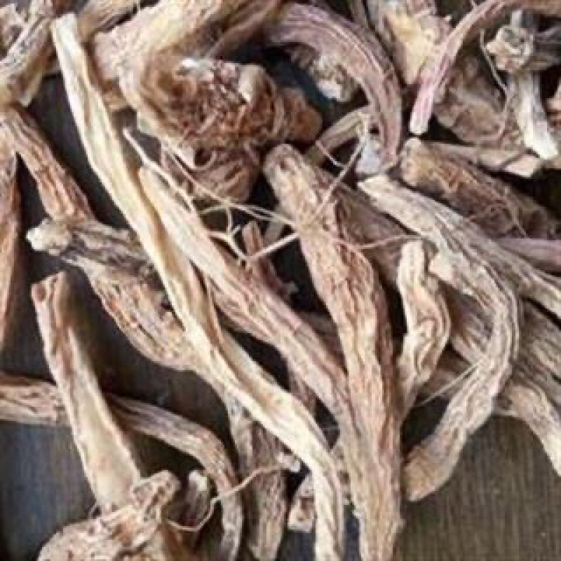 金铁锁根金铁锁/独钉子/独定子/对叶七/蜈蚣七