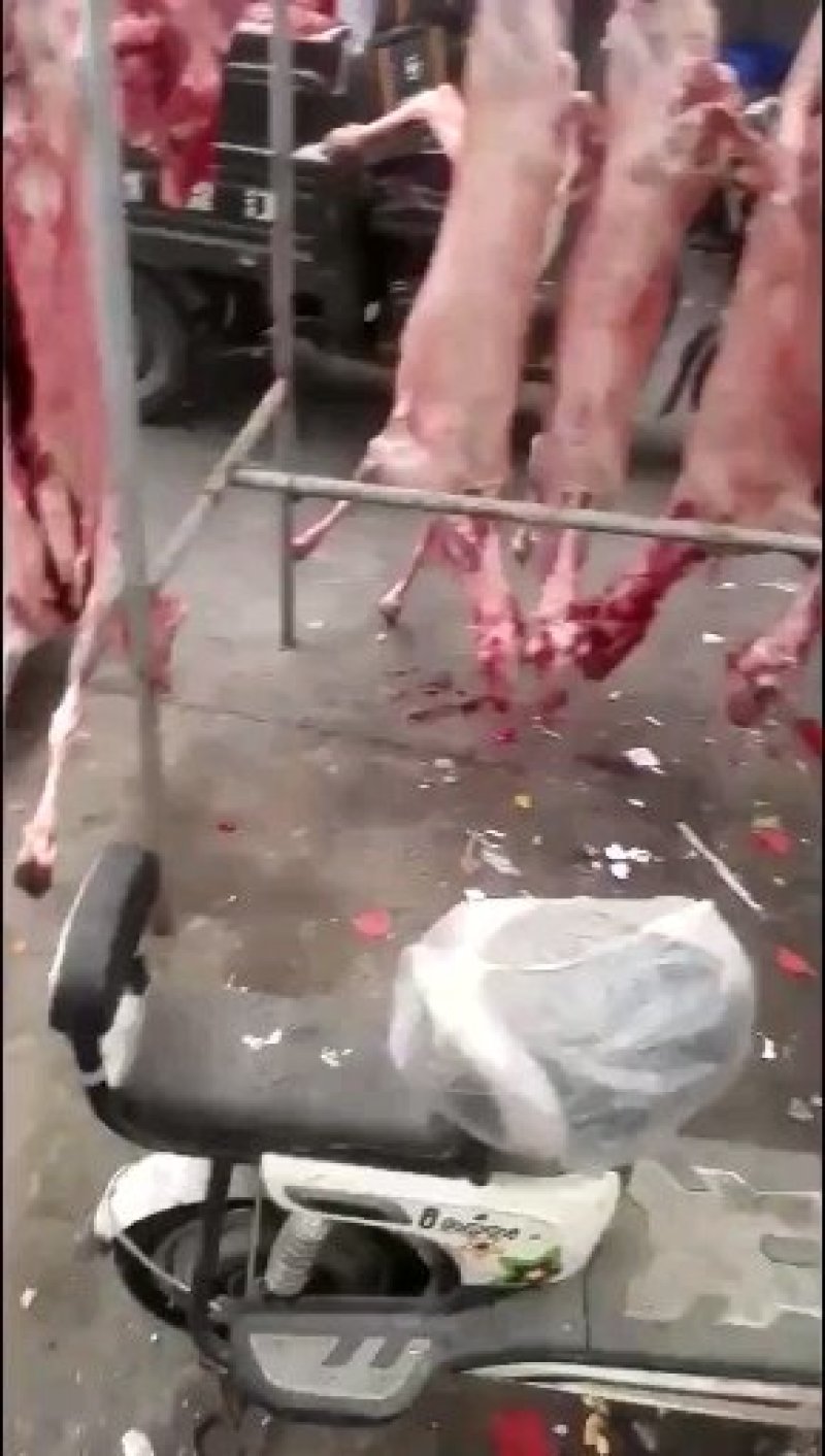 安徽宿州白条羊羊胴体现货冻货都能发资质全全国能发货源稳定价优