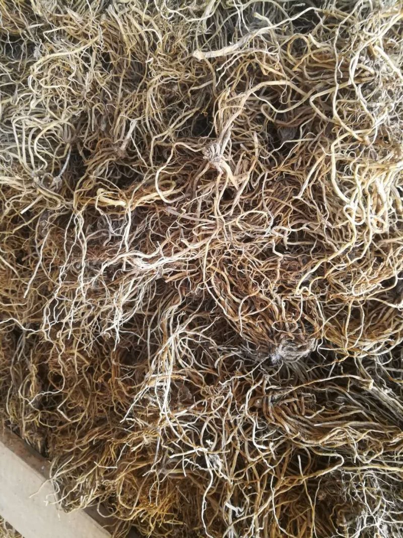 【精品】龙胆草基地一手货源量大从优品质保障