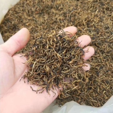 特级红茶叶
