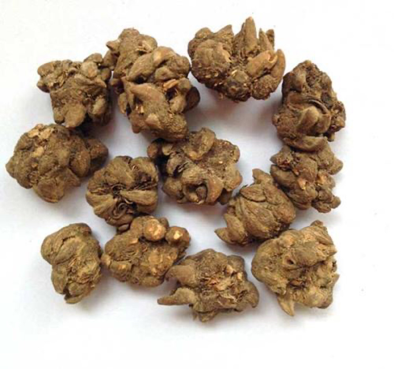 猫爪草干猫爪草小毛茛农家初选农副土特产品
