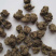 猫爪草干猫爪草小毛茛农家初选农副土特产品