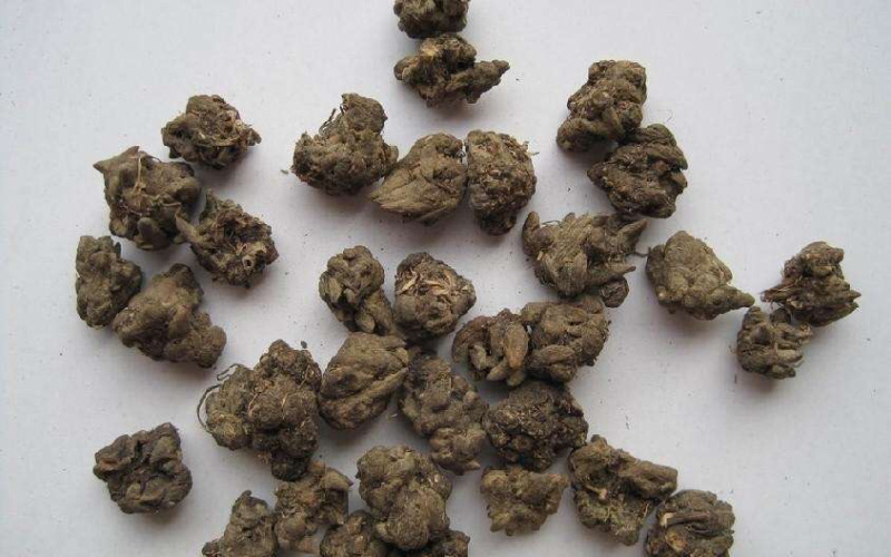 猫爪草干猫爪草小毛茛农家初选农副土特产品