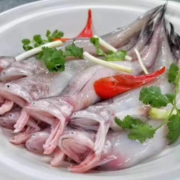 龙头鱼（一件20斤，食堂工地，快餐饭店）