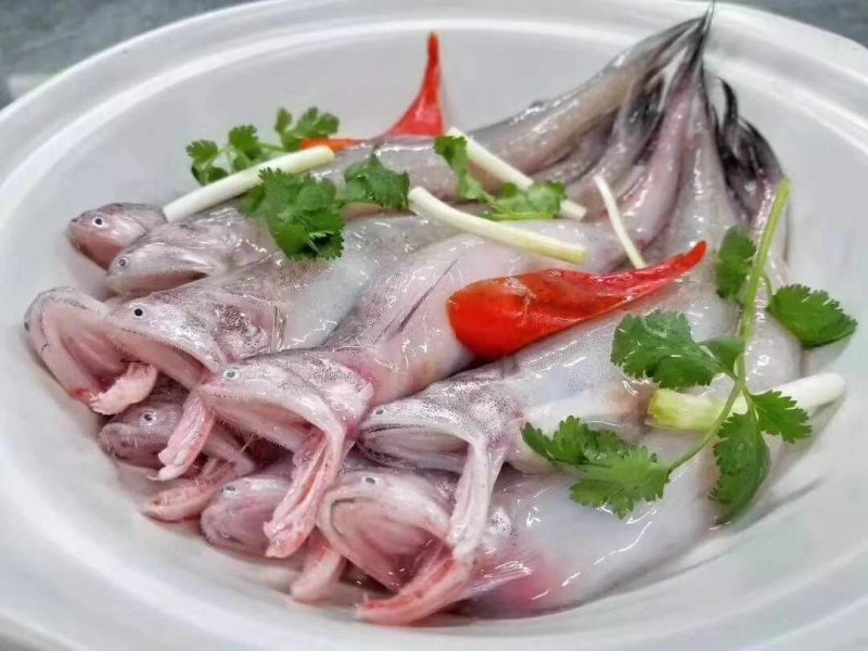 龙头鱼（一件20斤，食堂工地，快餐饭店）