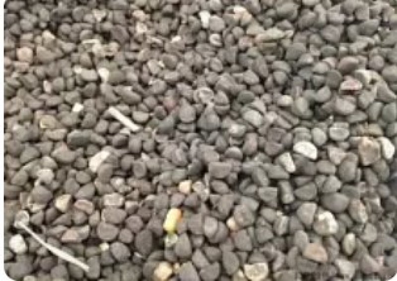 重瓣矮牵牛种子四季垂吊盆栽阳台室内多色植物花卉种子