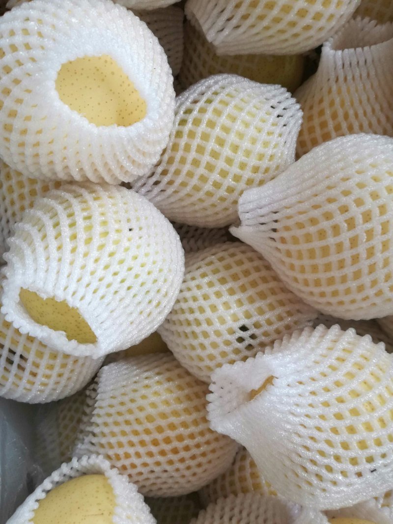 新高梨二三级网套货韩国品种甜度高果形好