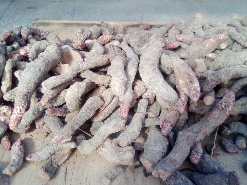 肉苁蓉整根肉苁蓉片干农家初选农副产品123