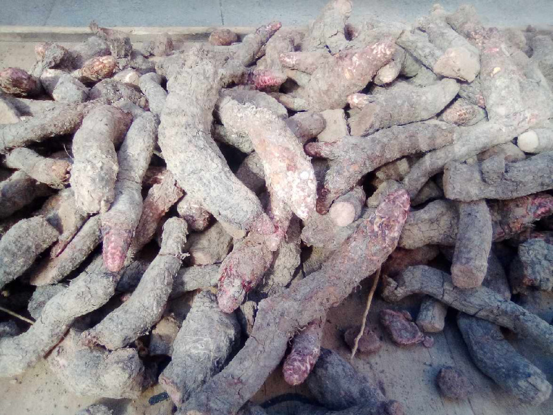 肉苁蓉整根肉苁蓉片干农家初选农副产品123