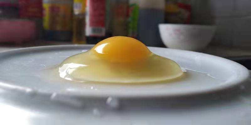 项鸡蛋