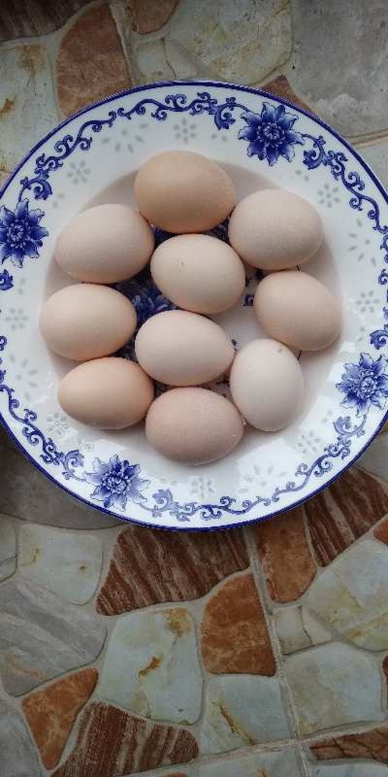 项鸡蛋
