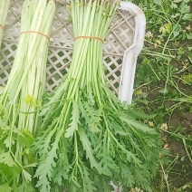 芹菜
