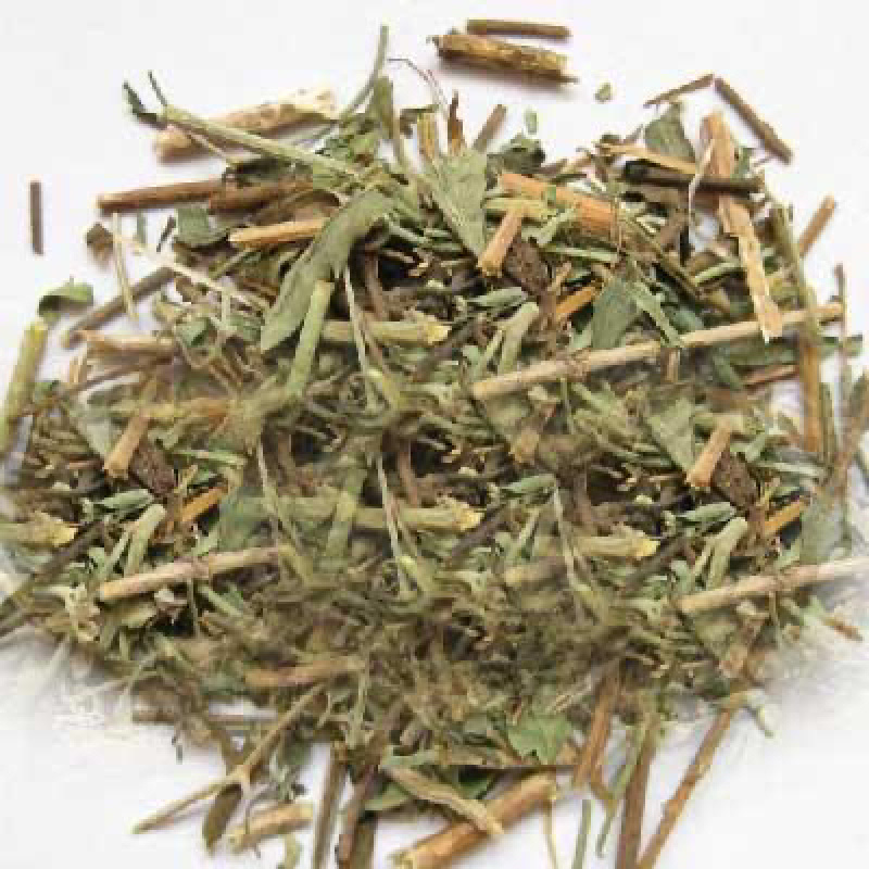 透骨草珍珠透骨草竹格叉吉盖草透骨草