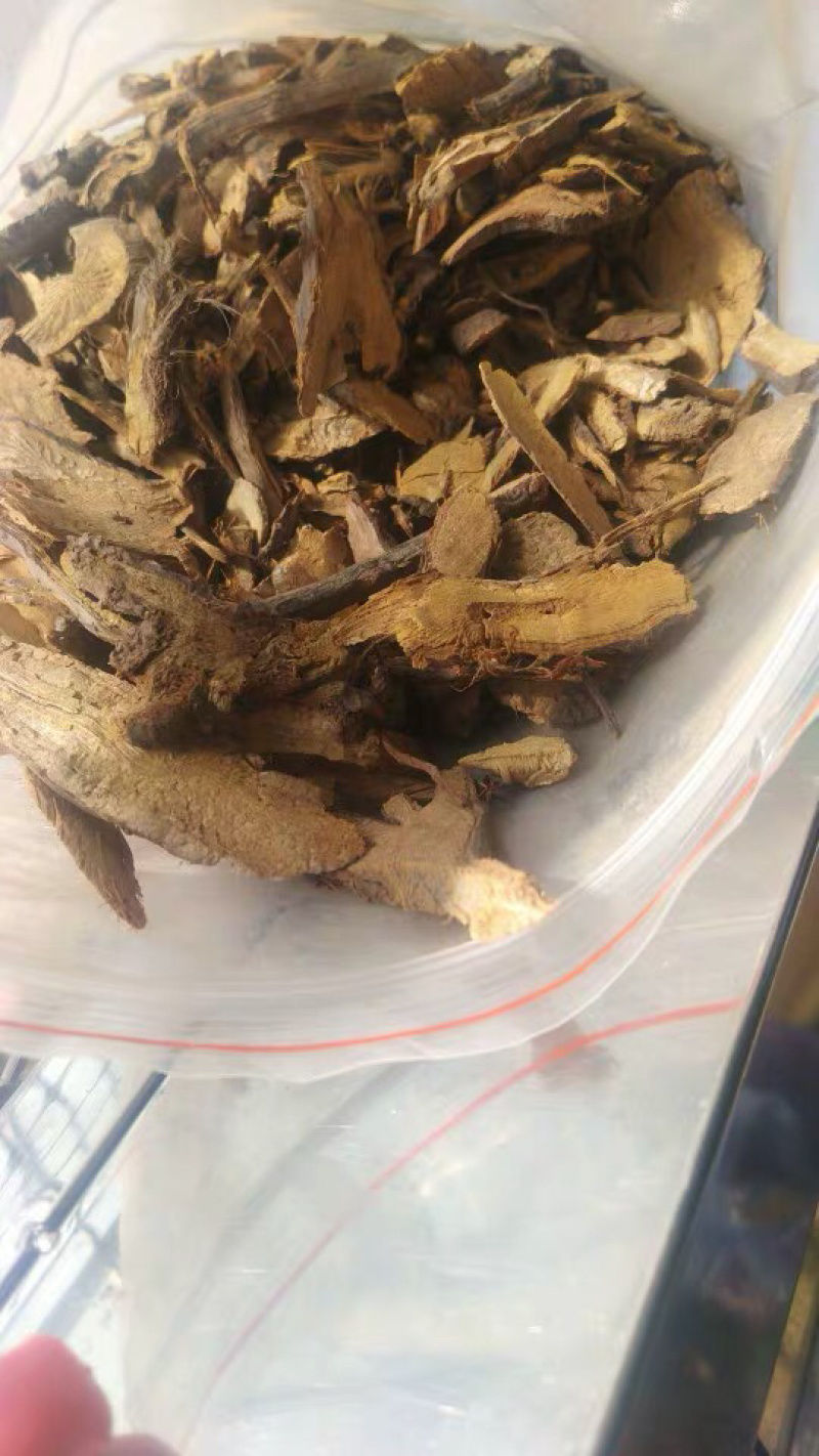 虎杖虎杖根花斑竹川筋龙斑庄黄地榆斑杖根