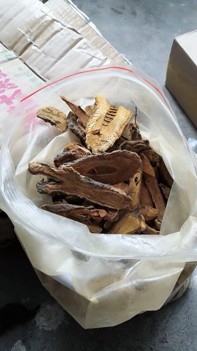 虎杖虎杖根花斑竹川筋龙斑庄黄地榆斑杖根