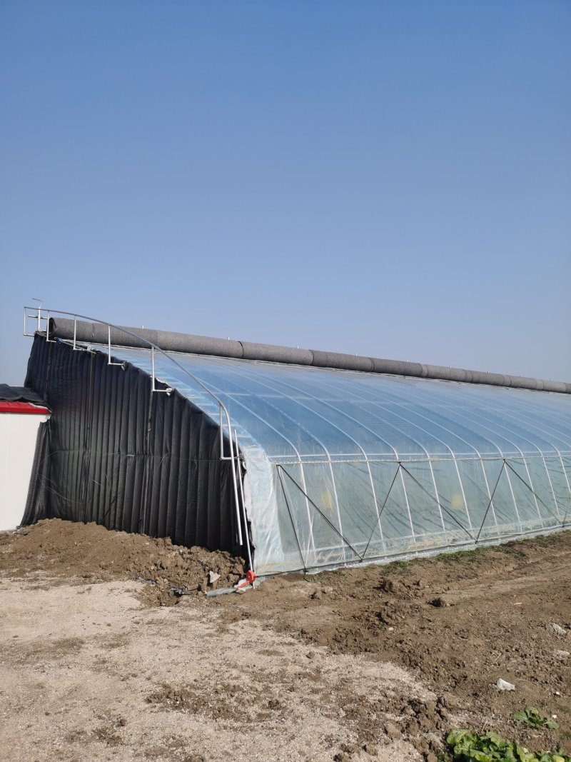 蔬菜大棚建设，大棚建设，寿光大棚推荐！！！