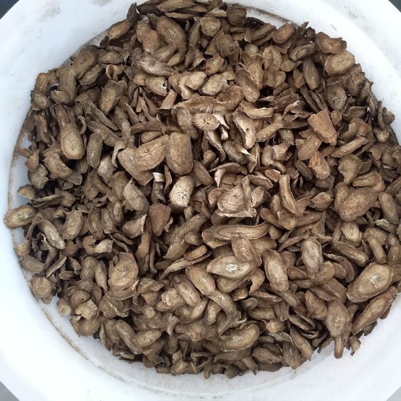 振兴药材批发供应牛蒡根规格齐全产地直供一手货源全国发货