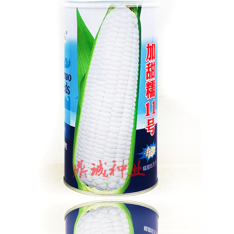 中茂加甜糯16糯玉米种子甜糯可口特大棒500g