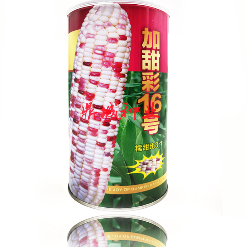 中茂加甜彩16号彩色糯玉米种子特大棒口感好500g
