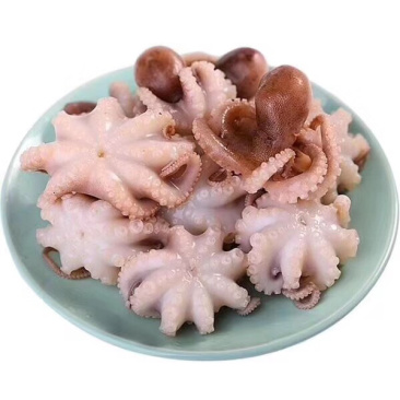 章鱼，盐磨章鱼花，三去小章鱼，一口章，八爪鱼