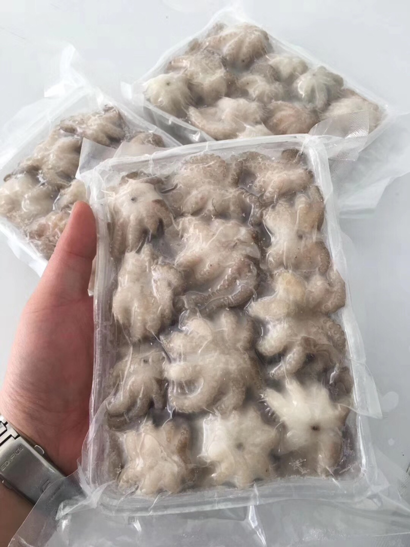 章鱼，盐磨章鱼花，三去小章鱼，一口章，八爪鱼