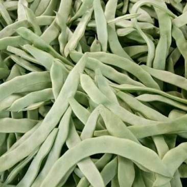 豆类