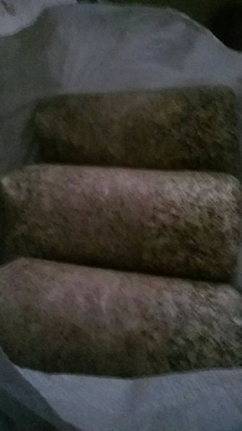 椴木袋料通用木耳菌种质优价廉量大从优欢迎下单