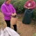 绿茶
