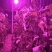 温室大棚杀虫灯果园杀虫灯，大田诱虫灯！养殖杀虫灯