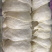燕窝(各规格有货)
