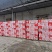 麻辣小龙虾中号,加热即食网红小龙虾招社团直播电商平台合作